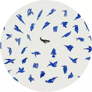 Hans Waanders - Visual artist