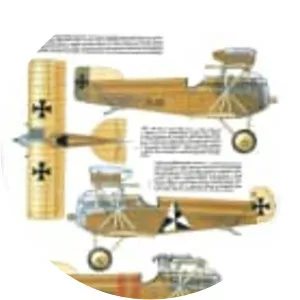 Hansa-Brandenburg D. I