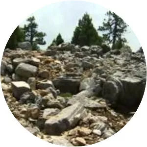 Happiness: A Philosopher's Guide