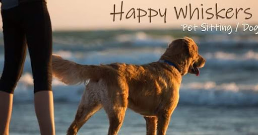 Happy Whiskers - Pet sitter in Porto, Portugal