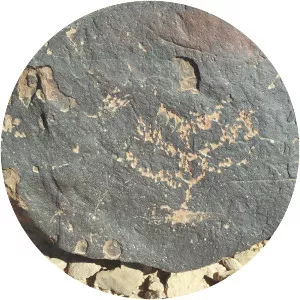 Har Karkom - Mountain in Israel