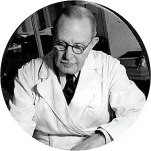 Harald Notini - Designer