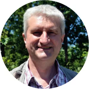 Harald Rockstuhl - Visual artist