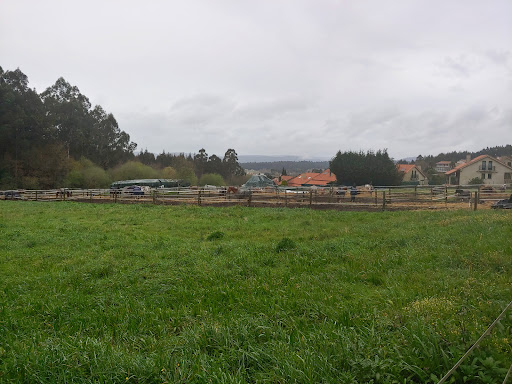 Haras de Compostela