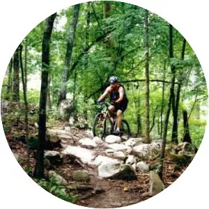 Harbison State Forest - 