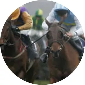 Hardy Eustace - Horse