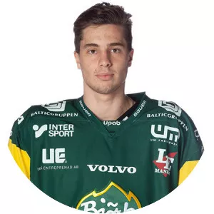 Hardy Häman Aktell - Swedish ice hockey player