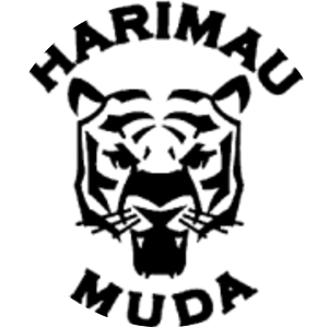 Harimau Muda B photograph