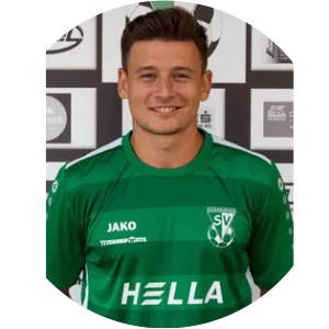 Haris Handanagic - Football player