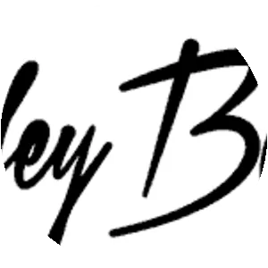 Harley Benton photograph