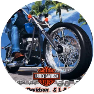 HarleyDavidson & L. A. Riders