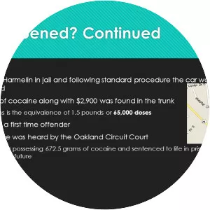 Harmelin v. Michigan