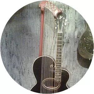Harp guitar