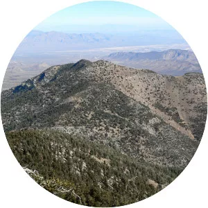 Harris Mountain - Peak in Nevada