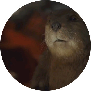 Harry Beaver Epic Movie