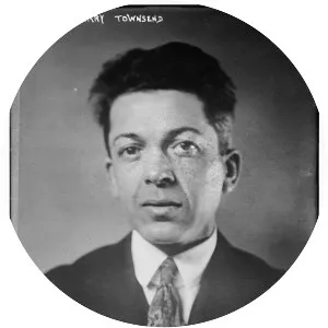 Harry Everett Townsend