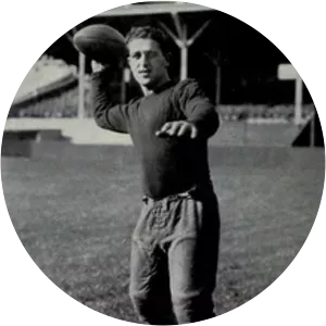 Harry Newman - American football player