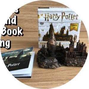 Harry Potter Hogwarts Castle and Sticker Book: Lights Up!