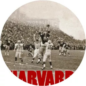 Harvard Beats Yale 29-29
