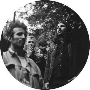 Harvey Rushmore & the Octopus