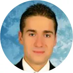 Hasan Dinçer - Politician