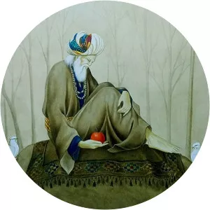 Hasan Kaimija Zrinović