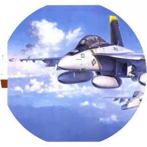 Hasegawa Corporation