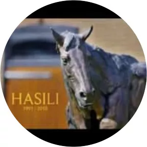 Hasili
