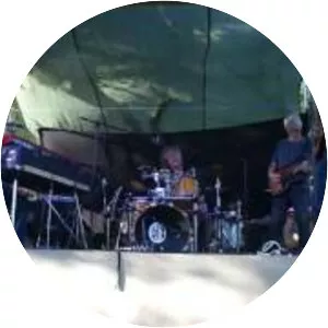 Hasse Bruniusson - Musical artist