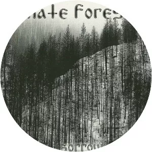 Hate Forest