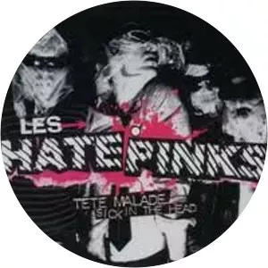 Hatepinks - Rock band