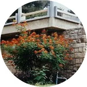 Hatsor Ashdod - Kibbutz in Israel