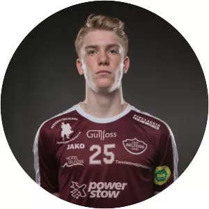 Haukur Þrastarson - Icelandic handball player