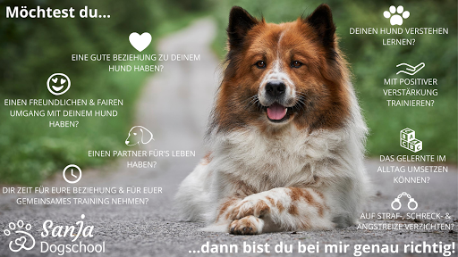 HauptsacheHund - Janinas Hundeschule  - Dog trainer in Prutz, Austria