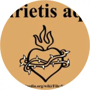 Haurietis aquas photograph