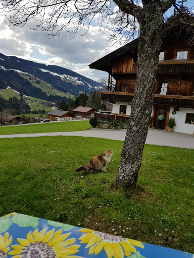 Haus Bischofen - Holiday home in Alpbach, Austria