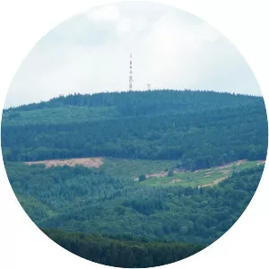 Haut-Folin - Summit in France