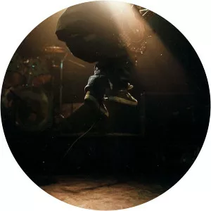 Håvard Godøy - Musical artist