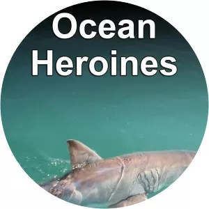 Havets hjältinnorSince 2016