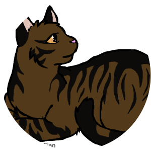 Hawkpaw - 