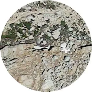 Hawthorne Nevada Airlines Flight 708