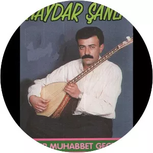 Haydar Şanlı - Musical artist