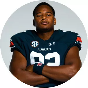 Hayden Brice - American football player