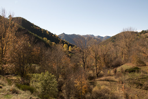 Hayedo de Canseco - Hiking area in Spain