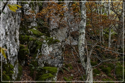 Hayedo de las Navariegas - Hiking area in Spain