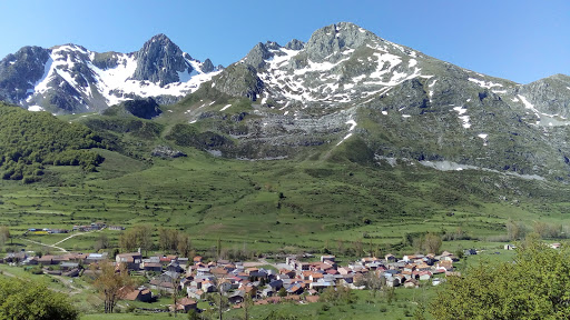 Hayedo de los Reyes - National forest in Spain