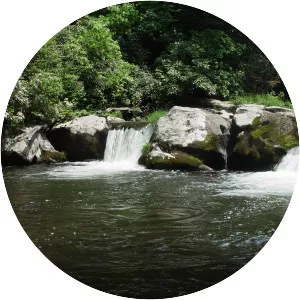 Hazel Creek - Stream in North Carolina