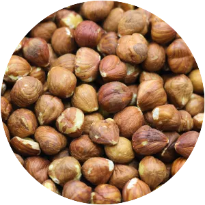 Hazelnut - Nut