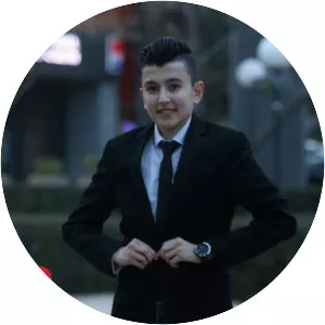 Hazem El Sadeer - Musical artist