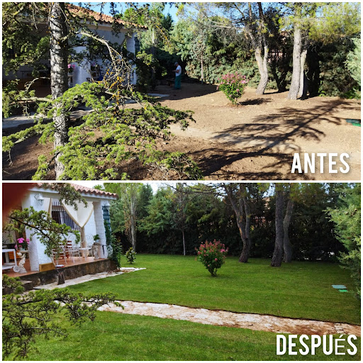 HB JARDINEROS - Lawn care service in Valdetorres de Jarama, Spain